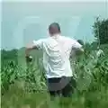 Ovlov AM
