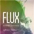 Adrian Belew FLUX: music that is never thesame twice