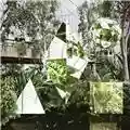 Clean Bandit New Eyes