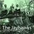The Jayhawks Tomorrow the Green Grass