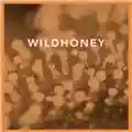 Wildhoney Seventeen Forever