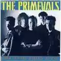 The Primevals On the red eye