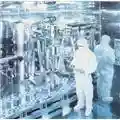 Porcupine Tree Stupid Dream
