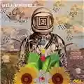 Bill Frisell Guitar in the Space Age!