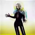 Björk Vulnicura