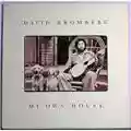 David Bromberg My Own House