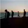 The Charlatans Modern Nature