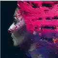 Steven Wilson Hand. Cannot. Erase.