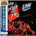 Lynyrd Skynyrd Southern By The Grace Of God