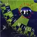 Simple Minds Street Fighting Years