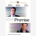 "Guitar" Glenn Jordan The Promise