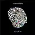 Echo And The Bunnymen Meteorites