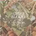 Surfer Blood 1000 Palms