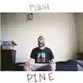 Plush Pine