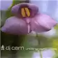 DJ Cam Underground Vibes