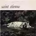 Saint Etienne Pale Movie