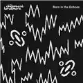 The Chemical Brothers Born in the echoes