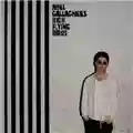 Noel Gallagher's High Flying Birds Chasing Yesterday