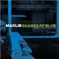 Madlib Shades of Blue