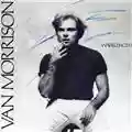 Van Morrison Wavelength