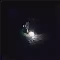 The Saddest Landscape Darkness Forgives