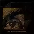 Asaf Avidan Gold Shadow