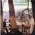 Cluster Sowiesoso