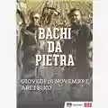 Bachi da pietra Live @ Biko (Milano) 26-11-2015