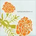 Sophia Collections: One