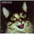 Venetian Snares Songs About My Cats