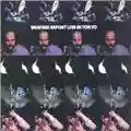 Weather Report Live In Tokyo