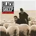 Black Sheep A Wolf in Sheep's Clothing