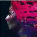 Steven Wilson Hand. Cannot. Erase.