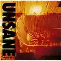 Unsane Singles 89-92