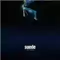 Suede Night Thoughts