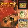 Dinosaur Jr. Fossils