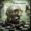 Gov't Mule Life Before Insanity
