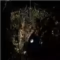 Wolves in the Throne Room Two Hunters