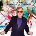 Elton John Wonderful Crazy Night