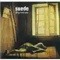 Suede Dog Man Star