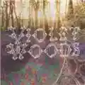 Violet Woods Violet Woods