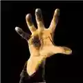 System Of A Down "System Of A Down"