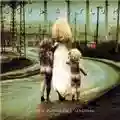 Soul Asylum "Grave Dancers Union"