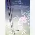 Apichatpong Weerasethakul Syndromes and a Century