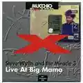 Steve Wynn and the Miracle 3 Live At Big Mama