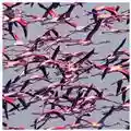 Deftones Gore
