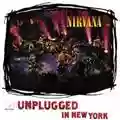 Nirvana Where did you sleep last night...
