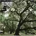 Noel Gallagher's High Flying Birds The Dying Of The Light