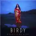 Birdy Beautiful Lies
