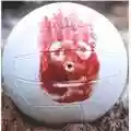 Wilson Volgarmente detto Amico Wilson